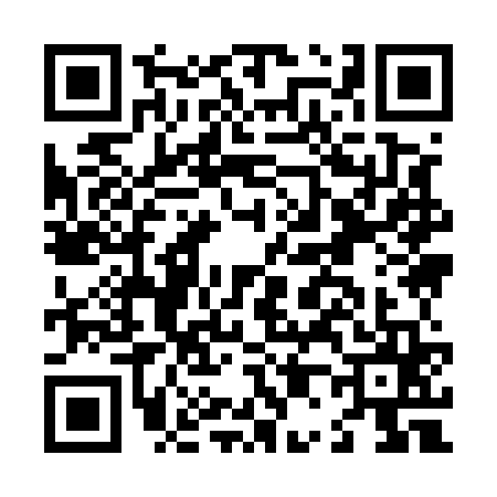 QR code for L095655