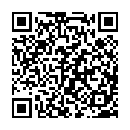 QR code for L10095