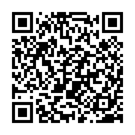 QR code for L11010