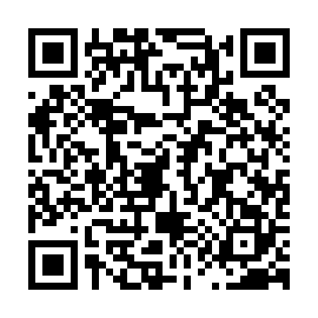 QR code for L110220