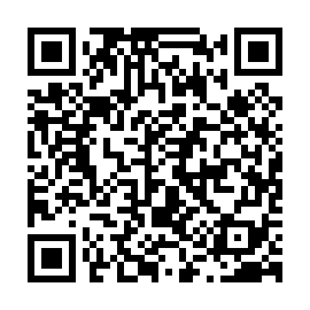 QR code for L11079