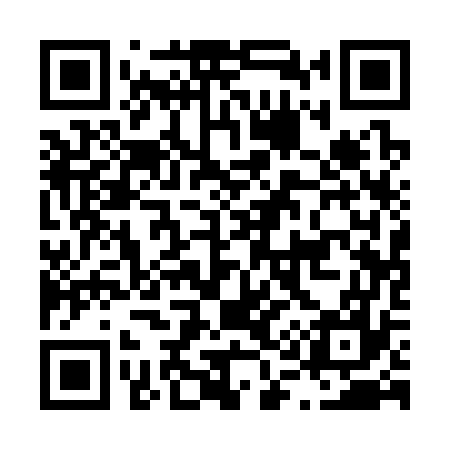 QR code for L11377