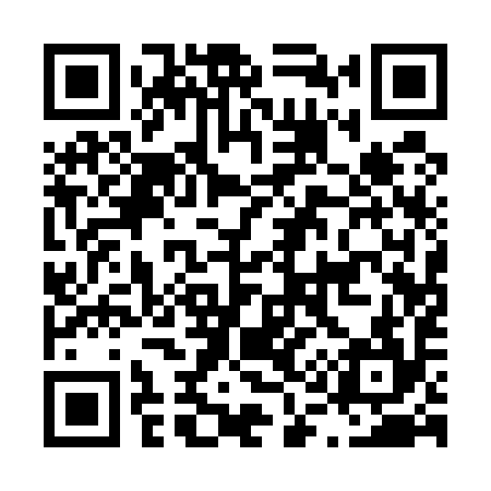 QR code for L11594