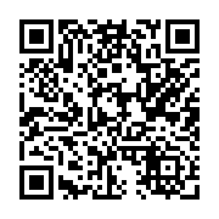 QR code for L11953