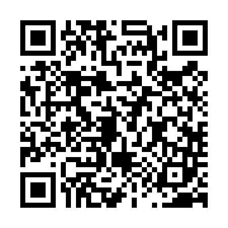 QR code for L124435