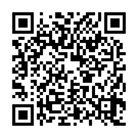 QR code for L12938