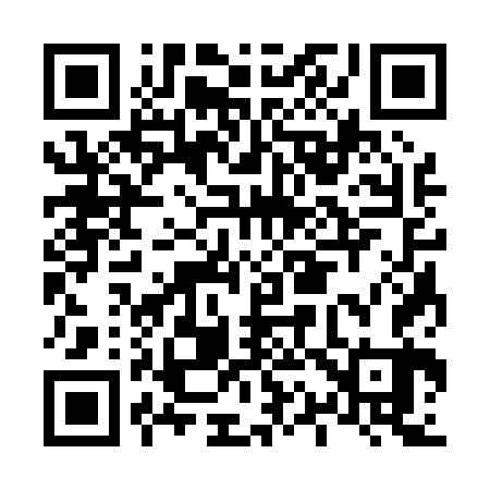 QR code for L13063