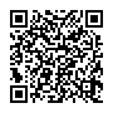 QR code for L13238