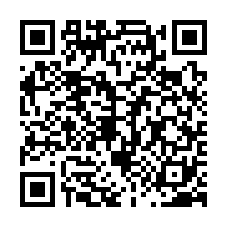 QR code for L133717