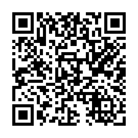 QR code for L13394