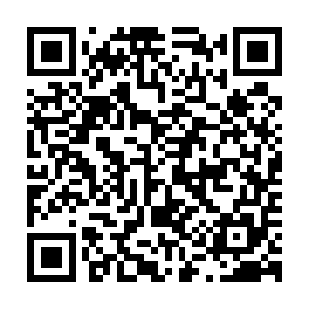 QR code for L13555