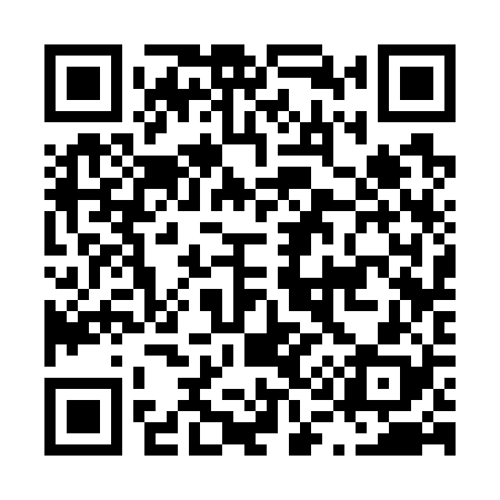 QR code for L13728