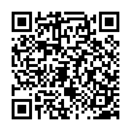 QR code for L160020