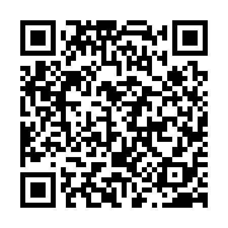 QR code for L16318