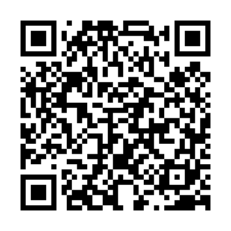 QR code for L16461