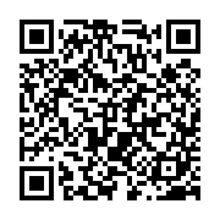 QR code for L16541