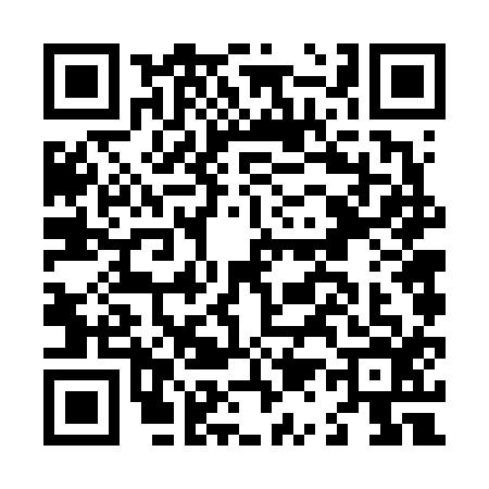 QR code for L166161