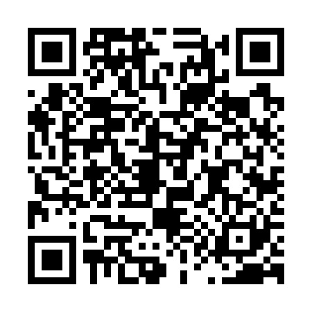 QR code for L167217