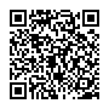 QR code for L175296