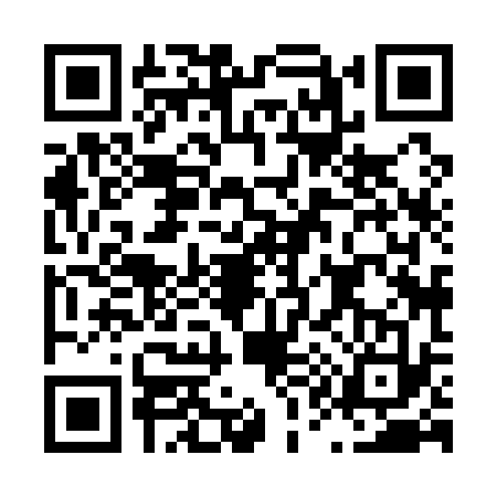 QR code for L181333