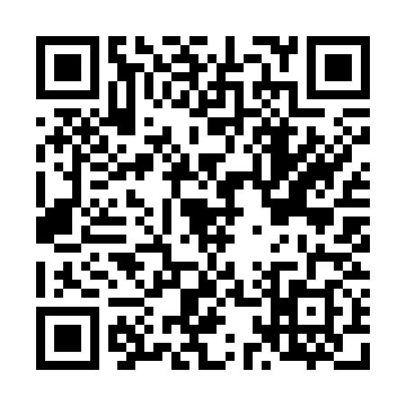 QR code for L193384