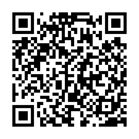 QR code for L19611