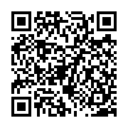 QR code for L196545