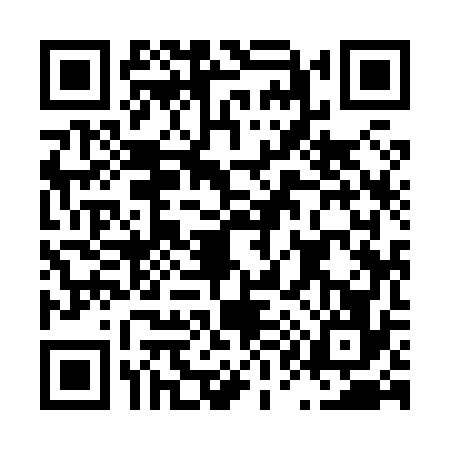 QR code for L198763