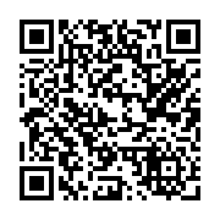 QR code for L20046