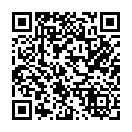 QR code for L20133