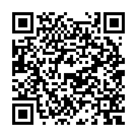 QR code for L202563