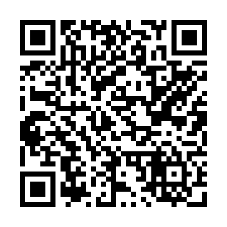 QR code for L20265
