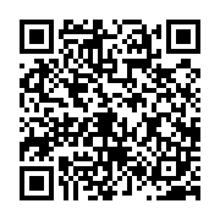 QR code for L205033