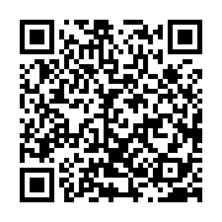 QR code for L20938