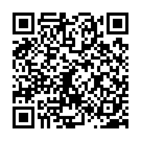 QR code for L217010