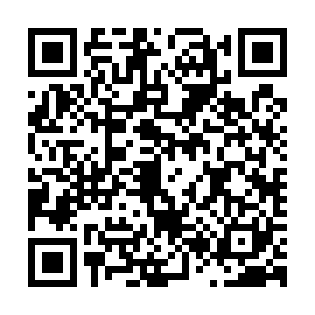 QR code for L225218