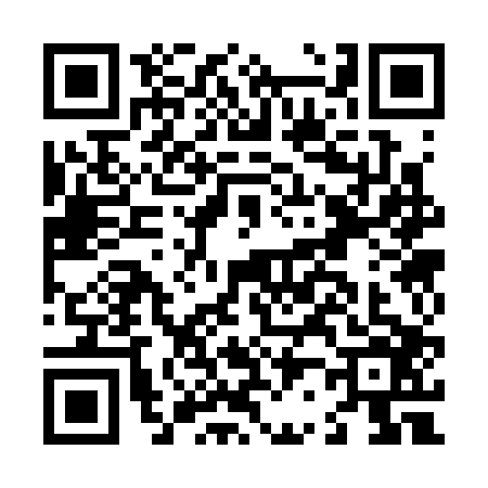 QR code for L233065