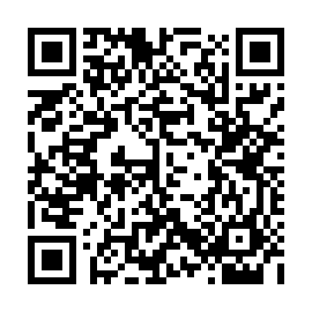QR code for L234463