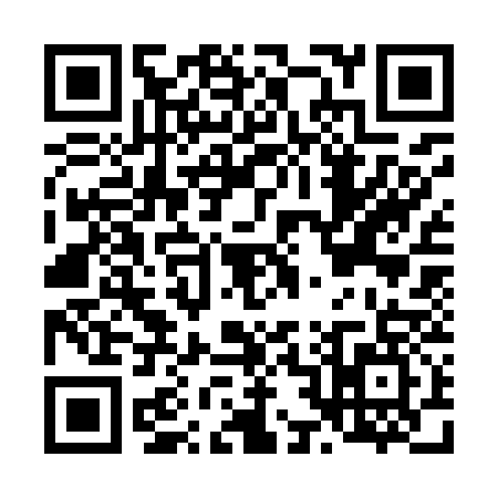 QR code for L239379