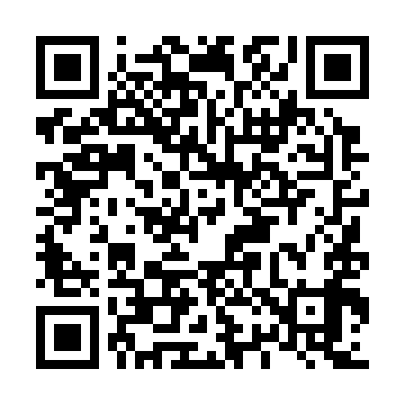 QR code for L24399