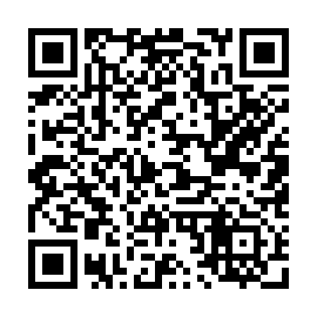 QR code for L25313