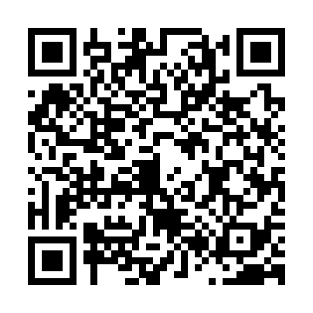 QR code for L253393