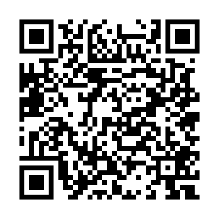 QR code for L255095