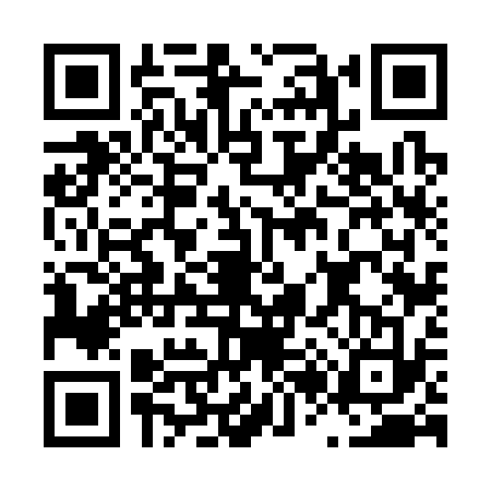 QR code for L263338