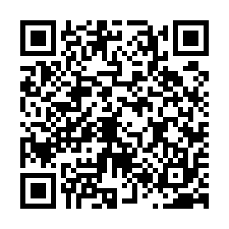 QR code for L265176