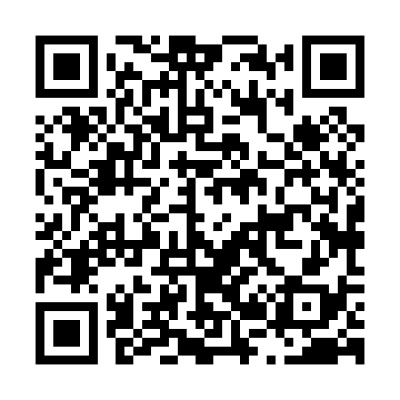 QR code for L28038