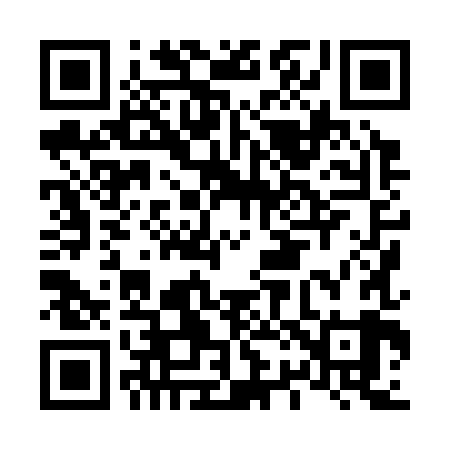 QR code for L28389