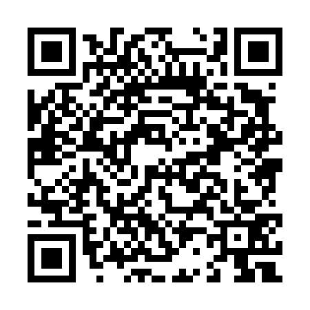 QR code for L284733