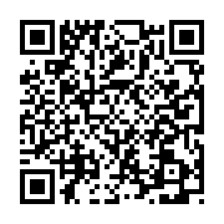 QR code for L289533
