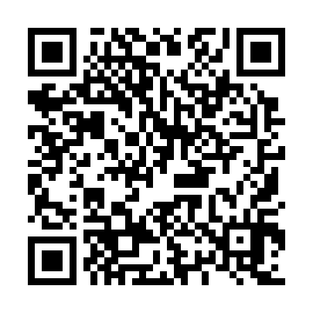 QR code for L29314